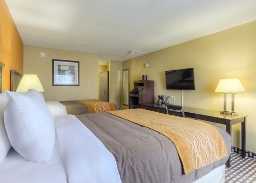 Hotel Comfort Inn Chattanooga  | Chattanooga | Tennessee | United States 1