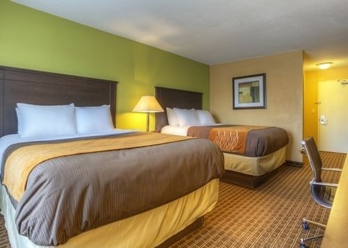 Hotel Comfort Inn Chattanooga  | Chattanooga | Tennessee | United States 7