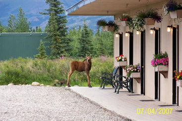 Hotel Denali Park 