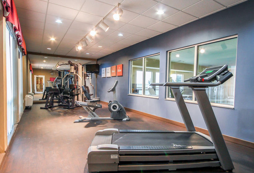 Hotel Comfort Suites Pecos  | Pecos | Texas | United States 16