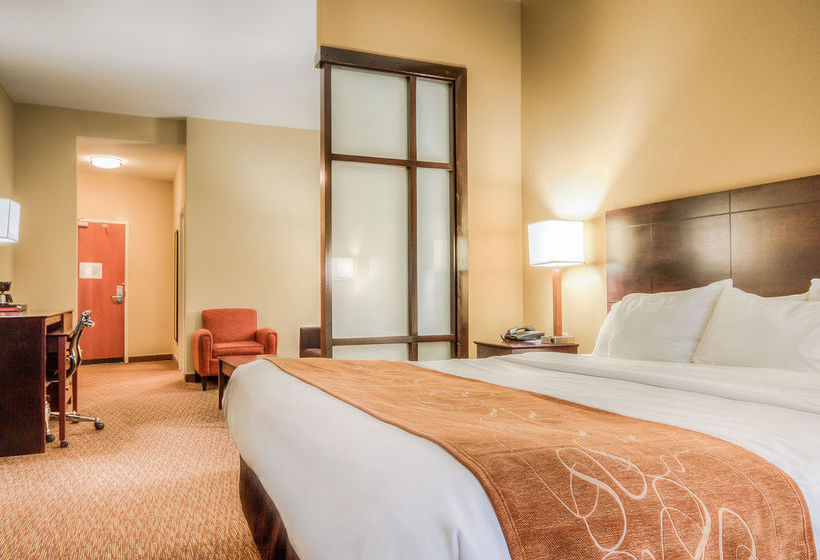 Hotel Comfort Suites Pecos  | Pecos | Texas | United States 9