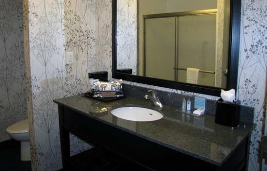 Hotel Hampton Inn & Suites Columbia south  | Columbia | Maryland | United States 8