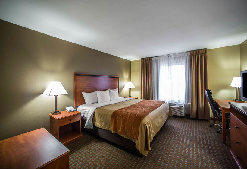 Hotel Comfort Inn Marion  | Marion | Illinois | United States 11
