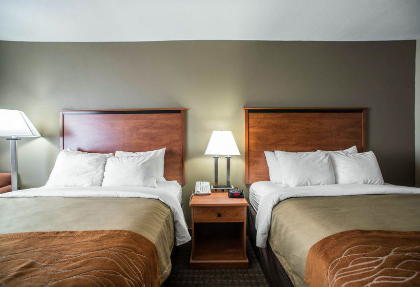 Hotel Comfort Inn Marion  | Marion | Illinois | United States 13