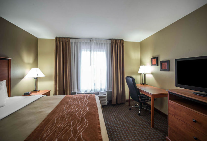 Hotel Comfort Inn Marion  | Marion | Illinois | United States 16