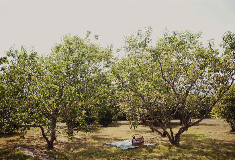 Hotel Complejo Castle Hill Inn  | Newport | Rhode Island | United States 2