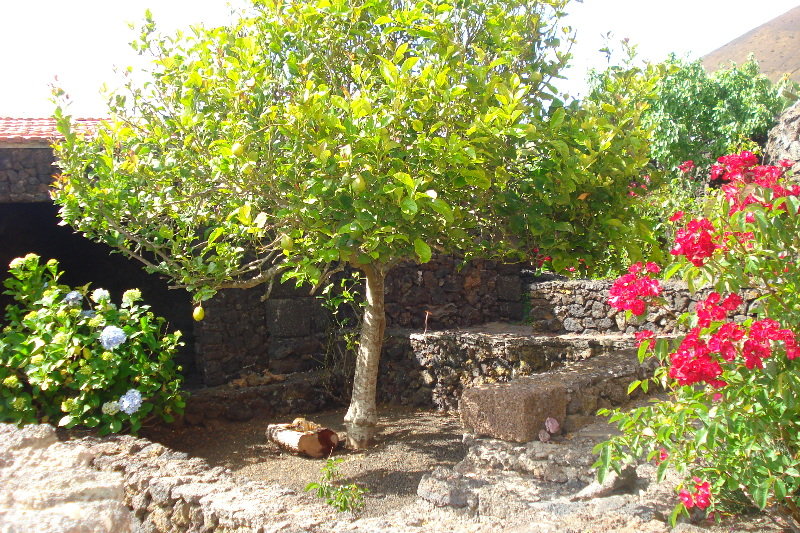 Casa Rural Aborigen Bimbache  | San Andrés | El Hierro | España 3
