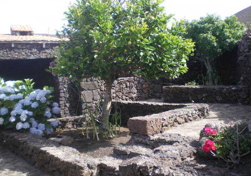 Casa Rural Aborigen Bimbache  | San Andrés | El Hierro | España 8
