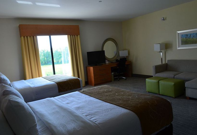 Hotel Comfort Suites Bossier City  | Bossier City | Louisiana | United States 10