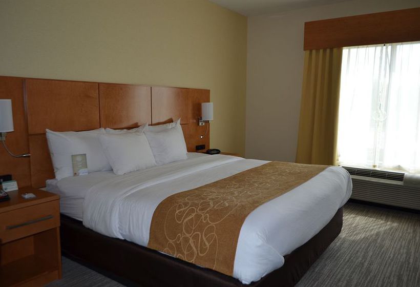 Hotel Comfort Suites Bossier City  | Bossier City | Louisiana | United States 11