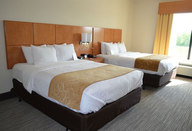 Hotel Comfort Suites Bossier City  | Bossier City | Louisiana | United States 8