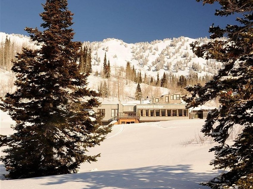 Hotel Snowpine Lodge 