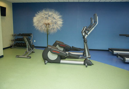 SpringHill Suites Midland  | Midland | Texas | United States 2