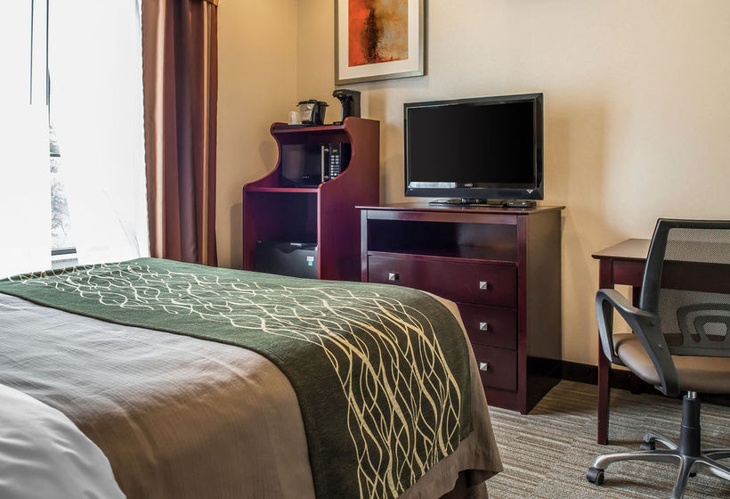 Hotel Comfort Inn & Suites Washington  | Washington | Pennsylvania | Vereinigte Staaten 12