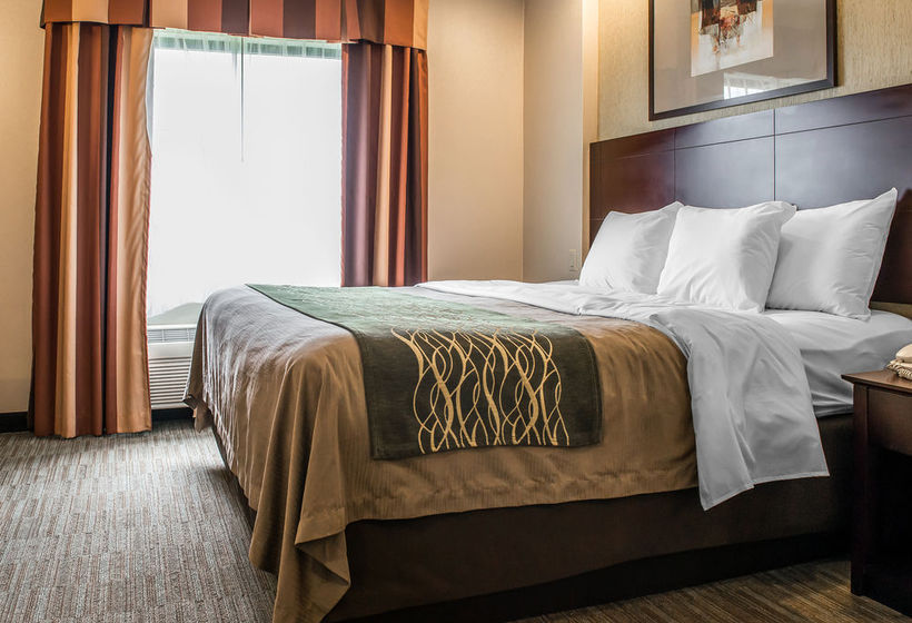 Hotel Comfort Inn & Suites Washington  | Washington | Pennsylvania | Vereinigte Staaten 13