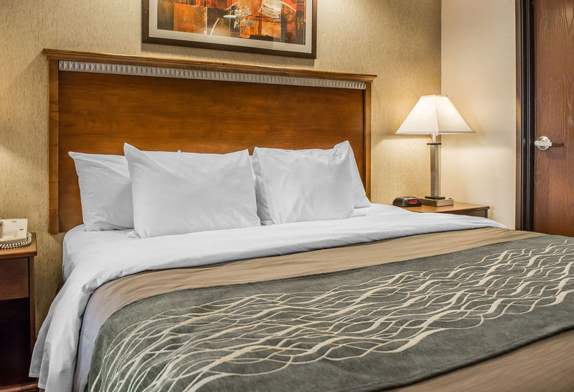Hotel Comfort Inn & Suites Washington  | Washington | Pennsylvania | Vereinigte Staaten 19