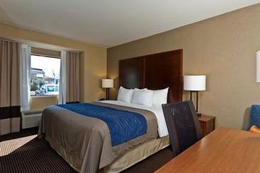 Hotel Comfort Inn Tupelo  | Tupelo | Mississippi | United States 11