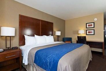 Hotel Comfort Inn Tupelo  | Tupelo | Mississippi | United States 3