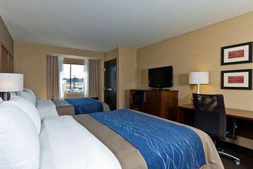 Hotel Comfort Inn Tupelo  | Tupelo | Mississippi | United States 4