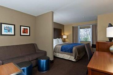 Hotel Comfort Inn Tupelo  | Tupelo | Mississippi | United States 6