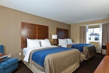 Hotel Comfort Inn Tupelo  | Tupelo | Mississippi | United States 9