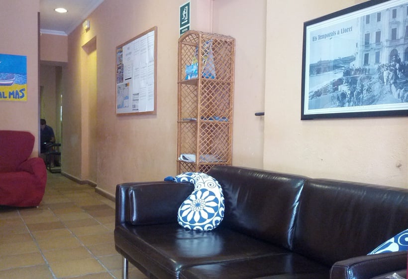 Hostal Mas Center Lloret  | Lloret de Mar | Gerona | España 9
