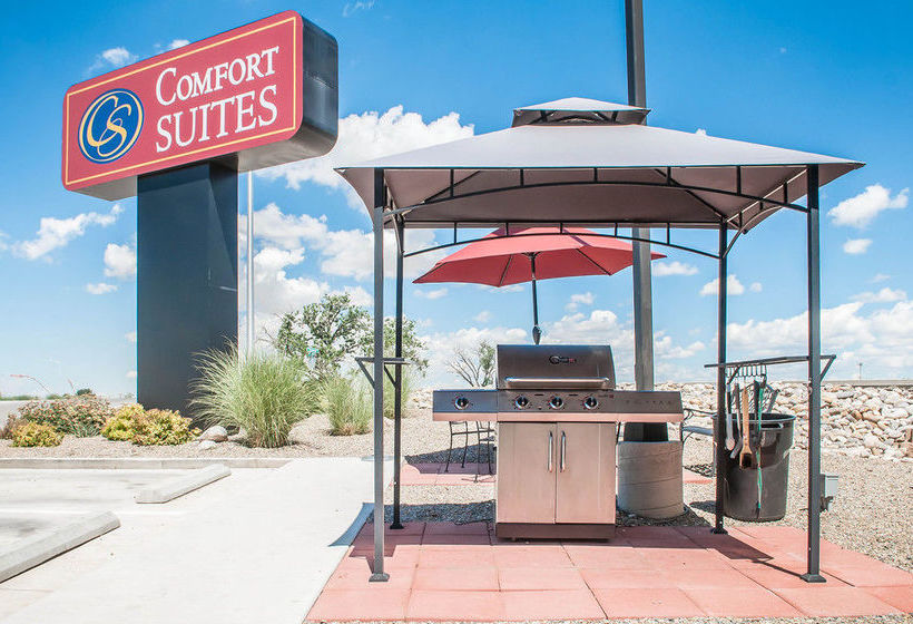 Hotel Comfort Suites Farmington Farmington