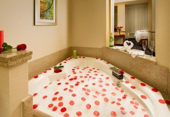 Hotel Fairfield Inn & Suites Waco North  | Waco | Texas | United States 14