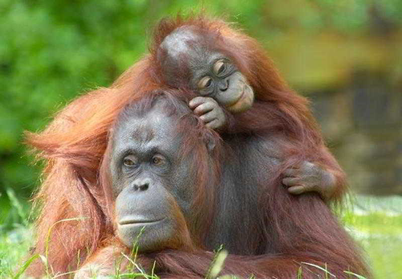 Hotel Fairfield Inn & Suites Waco North  | Waco | Texas | United States 2