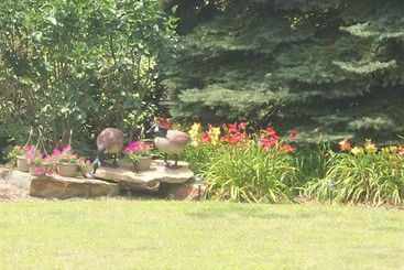 Bed and Breakfast The Belsar Inn  | Somerset | Pennsylvania | United States 8