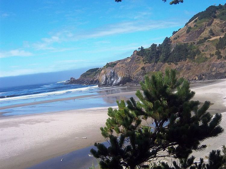 Motel Starfish Point  | Newport | Oregon | United States 8