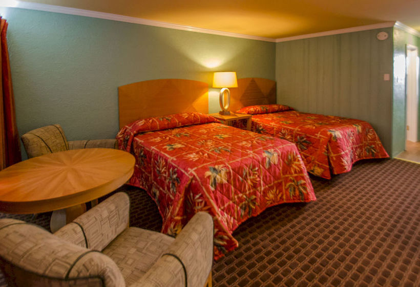 Motel Dolphin Inn Wildwood  | Wildwood | New Jersey | United States 5