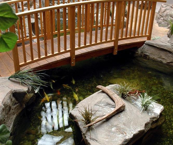 C'mon Inn Hotel & Suites Billings  | Billings | Montana | United States 1