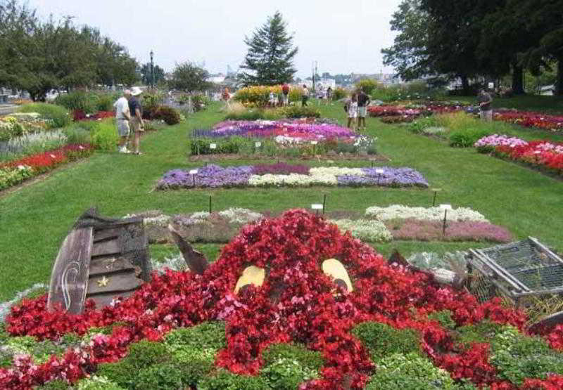 Hotel Fairfield Inn Portsmouth Seacoast  | Portsmouth | Virginia | United States 4