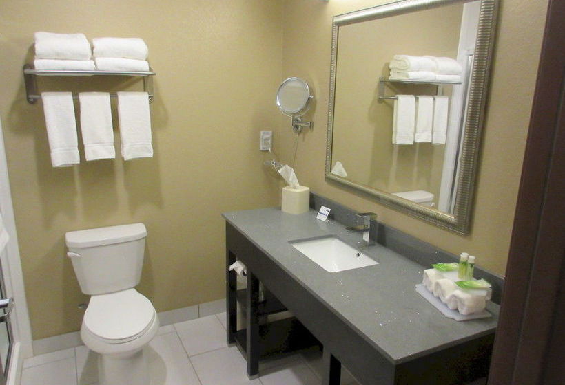 Hotel Holiday Inn Express & Suites Butler  | Butler | Pennsylvania | United States 6