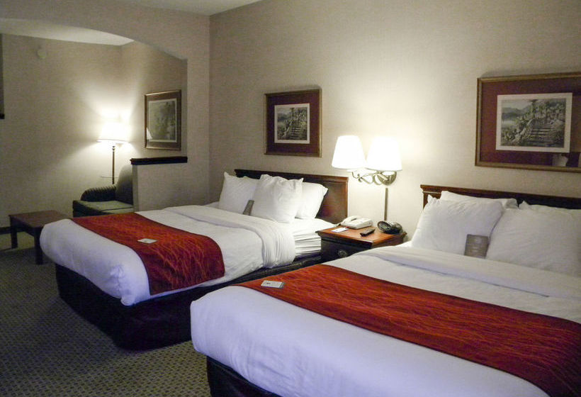 Hotel Comfort Suites Salisbury  | Salisbury | North Carolina | United States 3