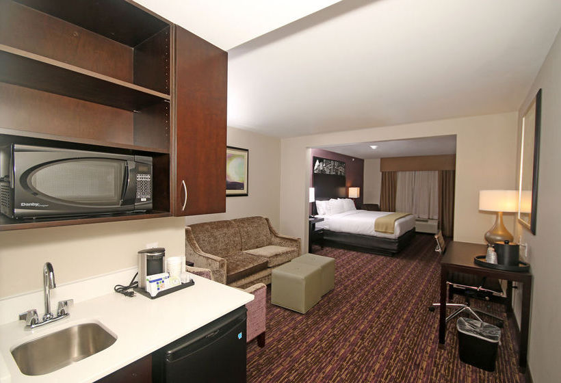 Hotel Holiday Inn Express & Suites Charlotte North  | Charlotte | North Carolina | United States 5