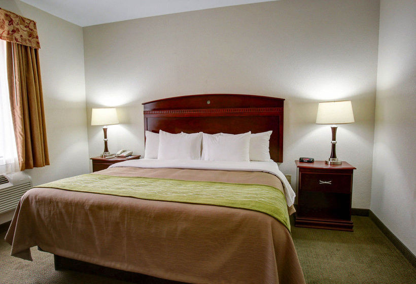 Hotel Comfort Inn Rockdale  | Rockdale | Texas | Estados Unidos 11
