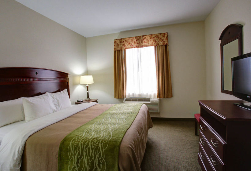 Hotel Comfort Inn Rockdale  | Rockdale | Texas | Estados Unidos 18