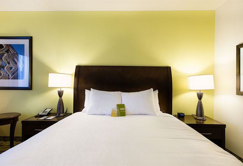 Hotel Hilton Garden Inn Charlotte Airport  | Charlotte | North Carolina | United States 5