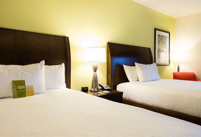 Hotel Hilton Garden Inn Charlotte Airport  | Charlotte | North Carolina | United States 7