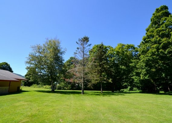 Hotel Econo Lodge Manchester  | Manchester | Vermont | United States 14