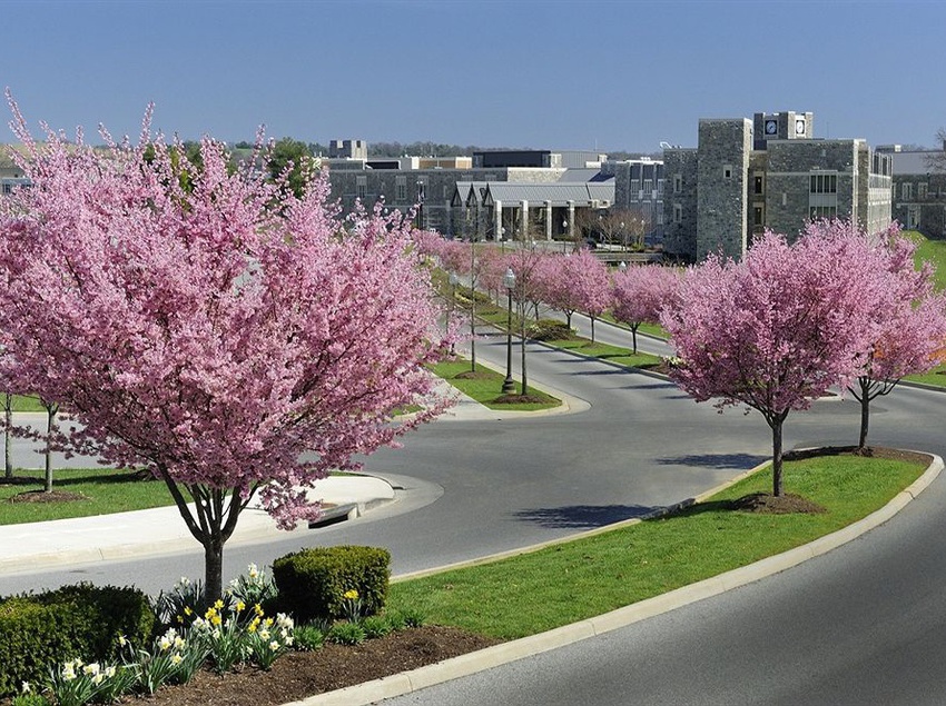 Hotel The Inn At Virginia Tech And Skelton Conference Center 