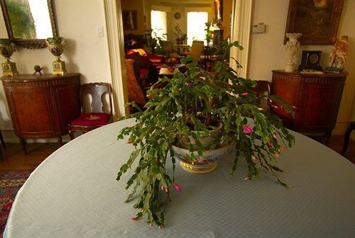 Burbridge St. B&b  | Philadelphia | Pennsylvania | United States 6