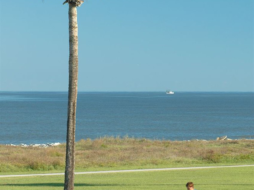 Hotel Holiday Inn Resort Jekyll Island  | Jekyll Island | Georgia | United States 19