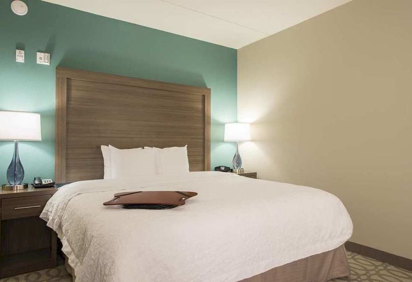 Hotel Hampton Inn Greenville I-385 Haywood Mall  | Greenville | South Carolina | United States 20