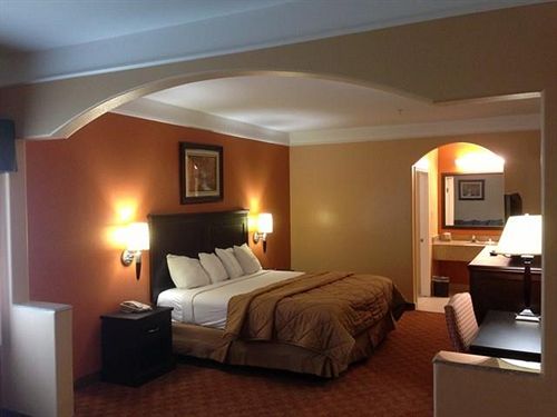 Hotel Scottish Inn and Suites Alvin  | Alvin | Texas | United States 11