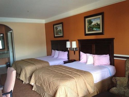 Hotel Scottish Inn and Suites Alvin  | Alvin | Texas | United States 14