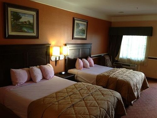 Hotel Scottish Inn and Suites Alvin  | Alvin | Texas | United States 8