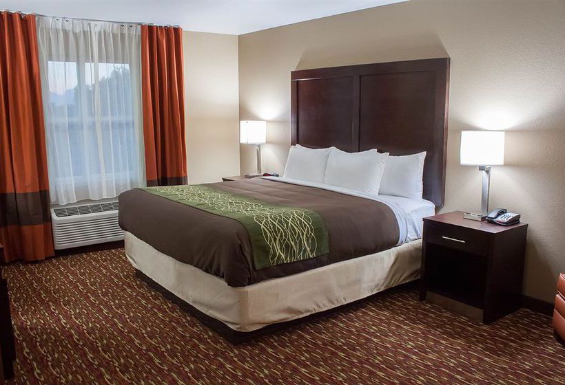 Hotel Comfort Inn & Suites Artesia  | Artesia | New Mexico | United States 13